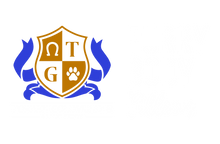 Furry Body Pillows